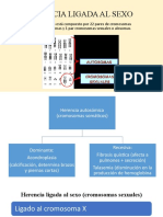 Herencia Ligada Al Sexo