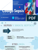 Sepsis y Shock Septico