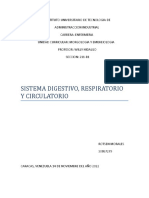 Informe Del Sistema Disgestivo, Respiratorio y Circulatorio