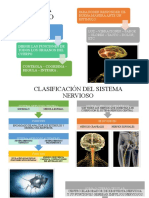 Sistema Nervioso Resumen