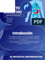 Equipo 4 - Aparato Digestivo PDF