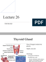 MBS231 Endo Lecture 26