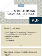 22 Endospore-Forming Gram Positive Rods