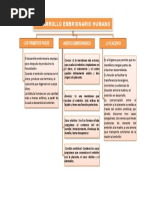 Desarrollo Embrionario Humano