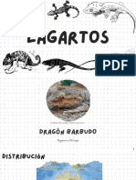 Lagartos