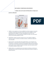 Cuestionario I Quimica y Cosmetologia Capilar