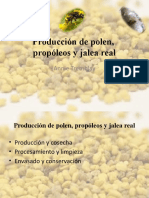 Polen Propolis Jalea Real