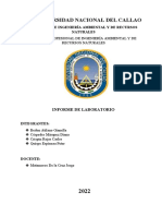 Informe Química - Filtración