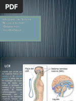 Infecciones de Sistema Nervioso Central