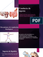 Psicofisiologia 2