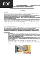 Repartido Unidad 8 Parte 2 Evlreconv PDF