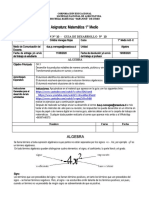 GUIA N 10 2020 Matemática