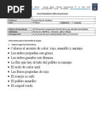 PDF Documento