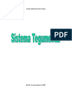 Sistema Tegumentar 1