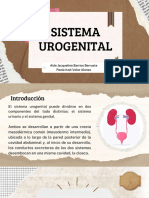 Sistema Urogenital