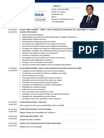 Curriculum Vitae PDF