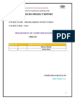 Python Microproject PDF