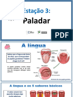 O Paladar