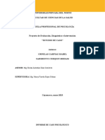 Esquema de Informe de Estudio de Caso 2023 1