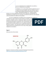 Metabolismo Secundario