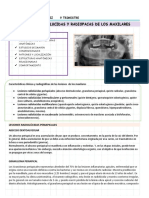 Lesiones Radiolucidas y Radiopacas de Los Maxilares