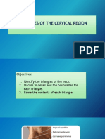 W3-11 Triangles of The Cervical Region Lecture