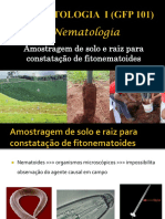 GFP101 Fitopatologia Nematologia UFLA SLIDES PDF