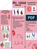 Triptico PDF