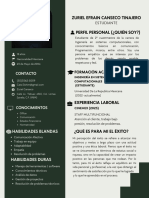 Currículum Profesional Monocromático Verde PDF