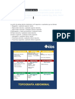 La Topografía Abdominal