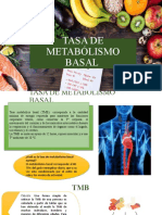 Tasa de Metabólismo Basal