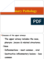 Pulmonary Pathology