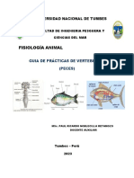 Guía de Practica 4 Sistema Respiratorio Fisiología Animal