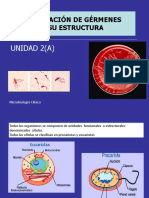 Unidad2 (A) MC