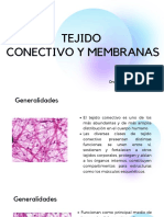 Tejido Conectivoy Membranas