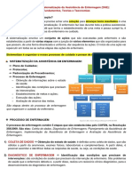 Aula 2 e 3 - SAE, Teorias de Enf e Taxonomias (NANDA, NIC, NOC)