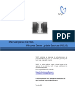 Manual WSUS Clientes V41