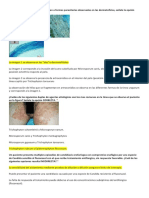 TP 1 Google Form Micología PDF