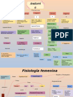 Mapa Conceptual Aparato Reproductor Femenino 3