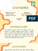 Cistotomía