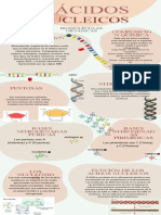 Acidos Nucleicos