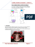 Iis - Clase 01 - Divisiones de La Cabeza