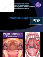 Molares Superiores 2011