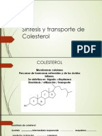 Síntesis y Transporte de Colesterol - PDF Versión 1