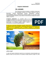 4 - Impacto Ambiental - Conceptos y Tipos