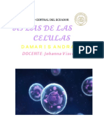 CELULAS