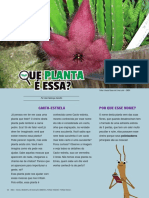 Ed 5 Que Planta e Essa