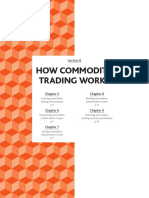 CommoditiesDemystified Section B en