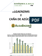 PresentacION ALGAENZIMAS