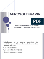 Aerosolterapia Ger